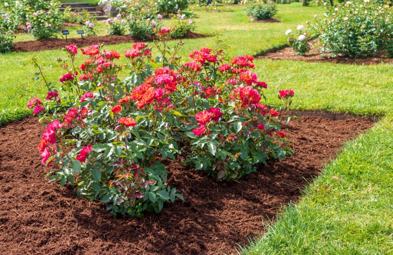 Flower Bed Maintenance Service