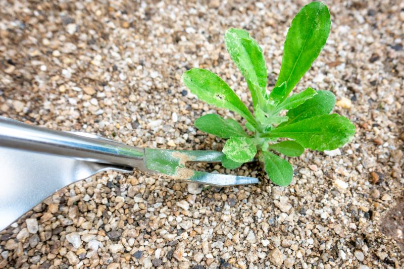 Tools You Actually Need