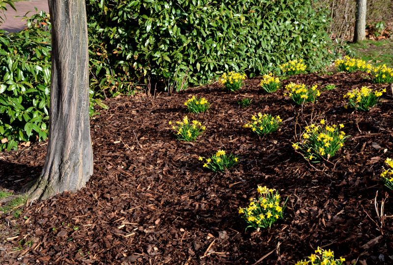 Mulching Techniques