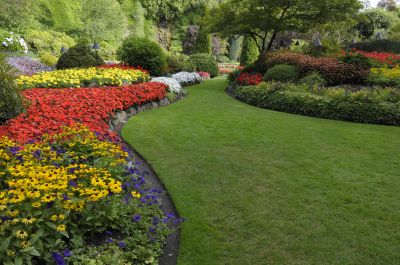 Flower Bed Maintenance Service
