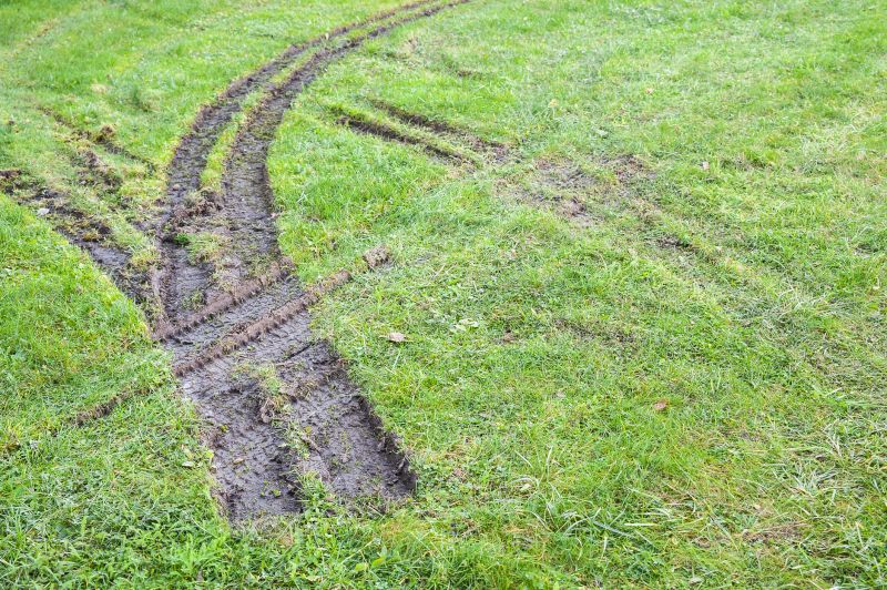 Grass Patching in Honolulu, HI