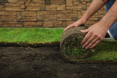 Grass Patching in Honolulu, HI