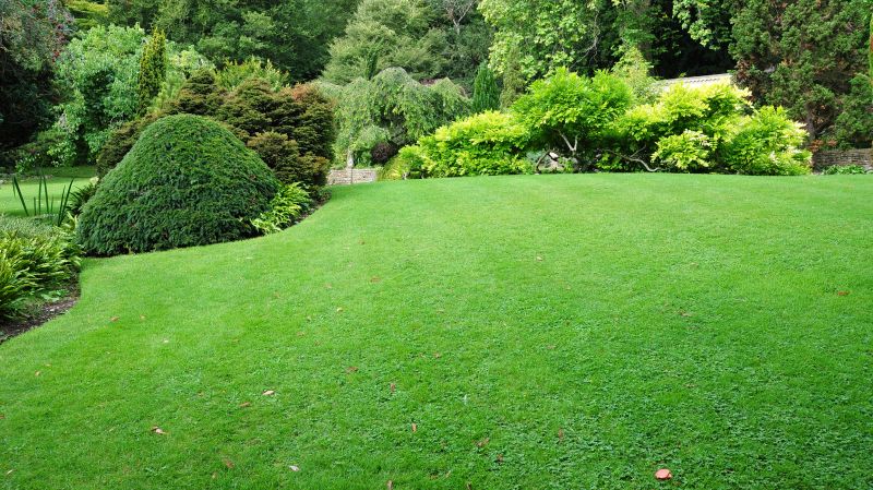 Industrial Landscaping Service in Honolulu, HI
